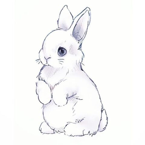 Find the Hottest abbunny OnlyFans Content Join Now - BestFansOnly