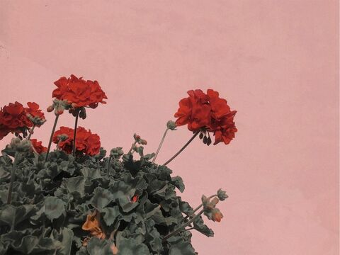 OnlyFans हेडर तस्वीर abigailkxo