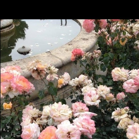 Изображение шапки OnlyFans advaa