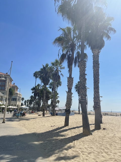 OnlyFans üst resmi adventureswithwynter