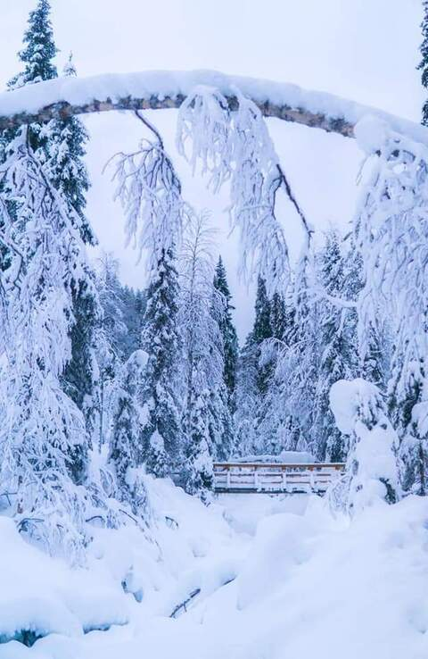 Imagem de cabeçalho do OnlyFans afterhoursd