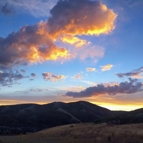 Снимка на заглавие на OnlyFans alex_mecum