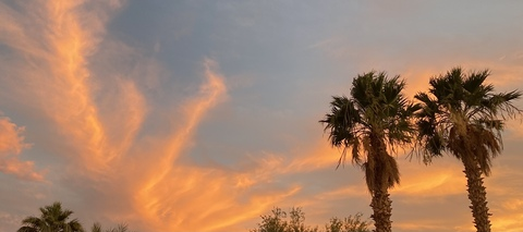 OnlyFans kopafbeelding alexandrabiancaaa