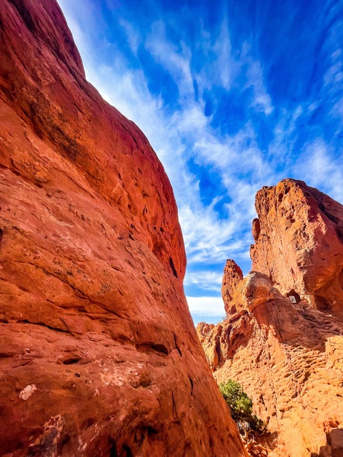 OnlyFans Titelbild alexxxomega