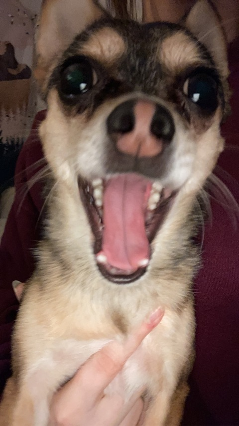 OnlyFans Titelbild alicekay