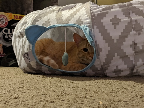 Obraz nagłówka OnlyFans allycakes_12