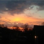 Foto de perfil de OnlyFans de alt_kitten