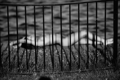 Imagen de encabezado de OnlyFans de alyciacarpenter