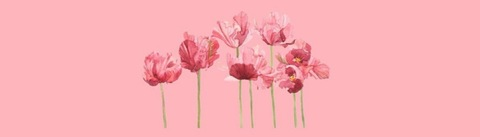 Immagine di copertina OnlyFans alyssa9