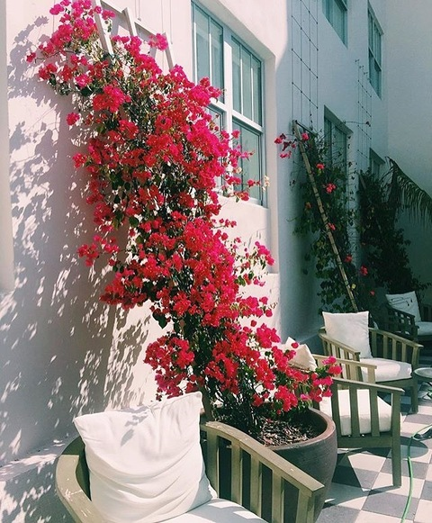 OnlyFans üst resmi ammeagodd