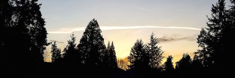 OnlyFans üst resmi analgirlolive