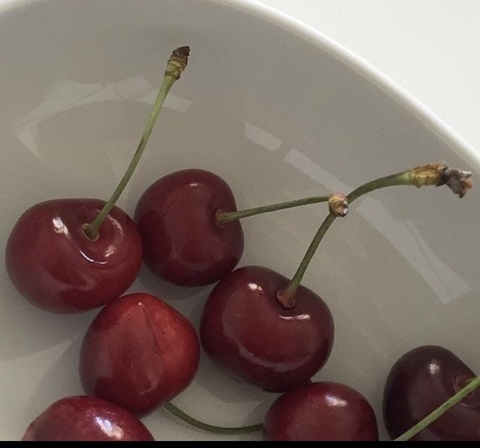 OnlyFansヘッダー写真 anasus