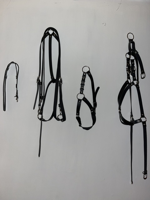 OnlyFansヘッダー写真 andela666