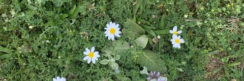 OnlyFansヘッダー写真 andyjazba