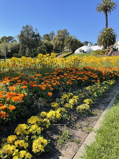 Gambar header OnlyFans angelllll13