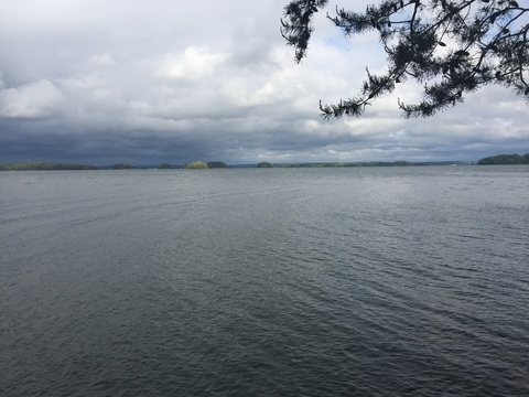 OnlyFans üst resmi anniemolls