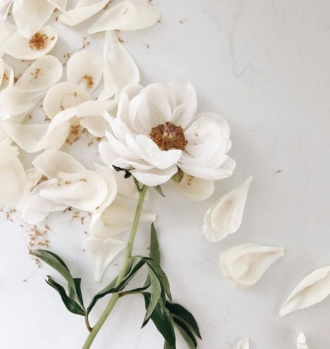 OnlyFans üst resmi aprilsantos