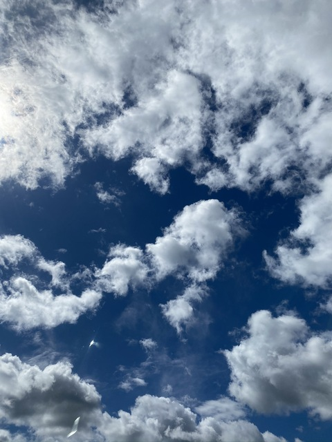 Изображение шапки OnlyFans aryn.winters