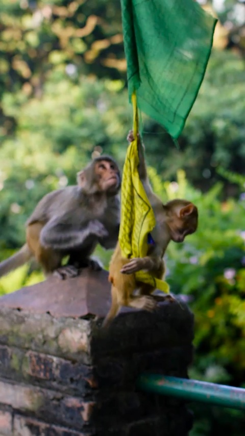 OnlyFans Titelbild as12604