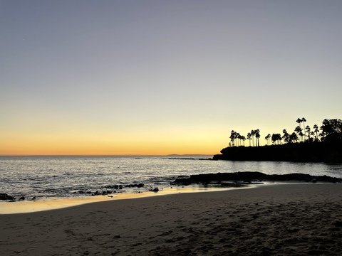 OnlyFans header picture asapalex11