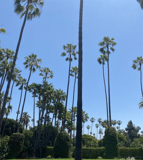 Gambar header OnlyFans astorcrimsonbabe