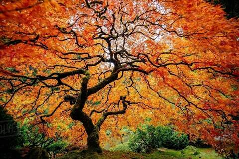 صورة رأس OnlyFans autie_123