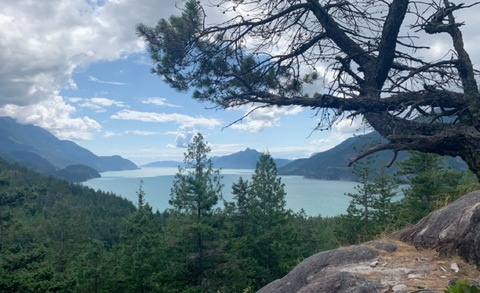 OnlyFans üst resmi avacharleson