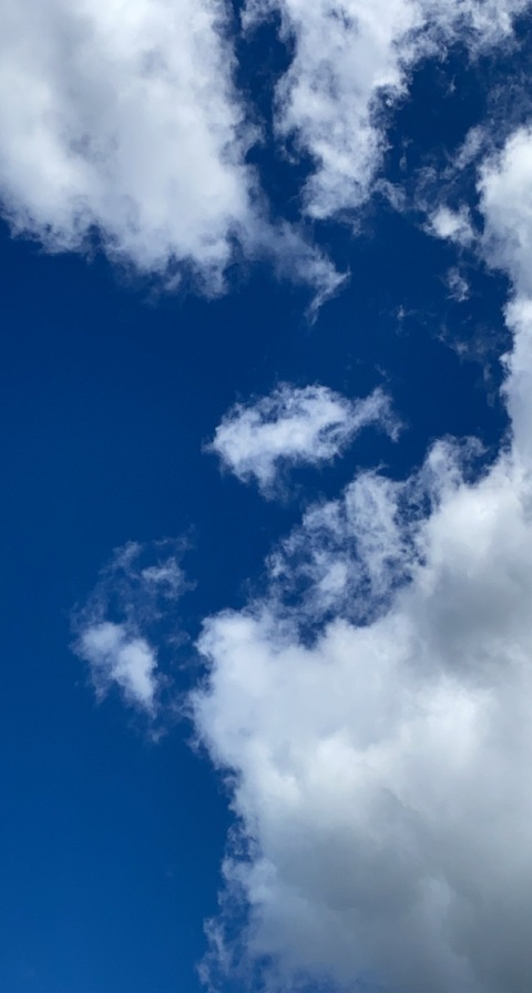 Gambar header OnlyFans b1gboob13b1tch