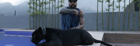 OnlyFans kopafbeelding babocartel