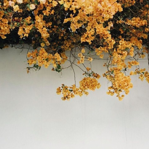 OnlyFans kopafbeelding babycrx