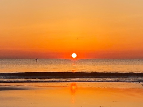 صورة رأس OnlyFans babymoms017