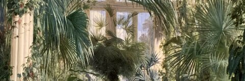 OnlyFans üst resmi babyriv2