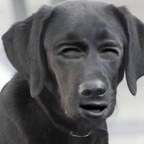 صورة الملف الشخصي على OnlyFans baddievirgo