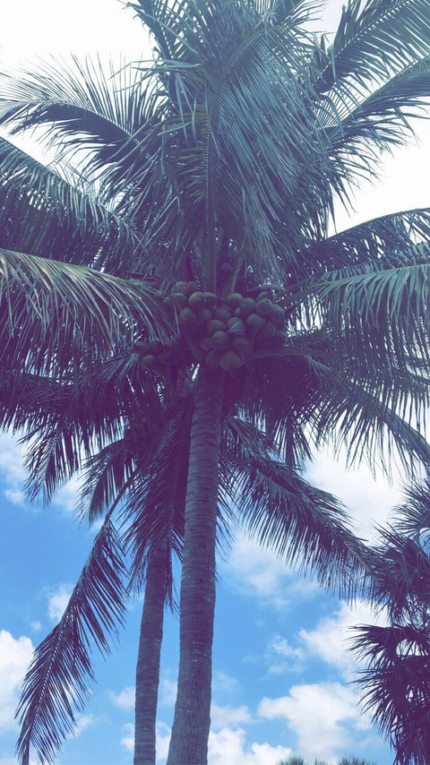 Imagen de encabezado de OnlyFans de badrice2121