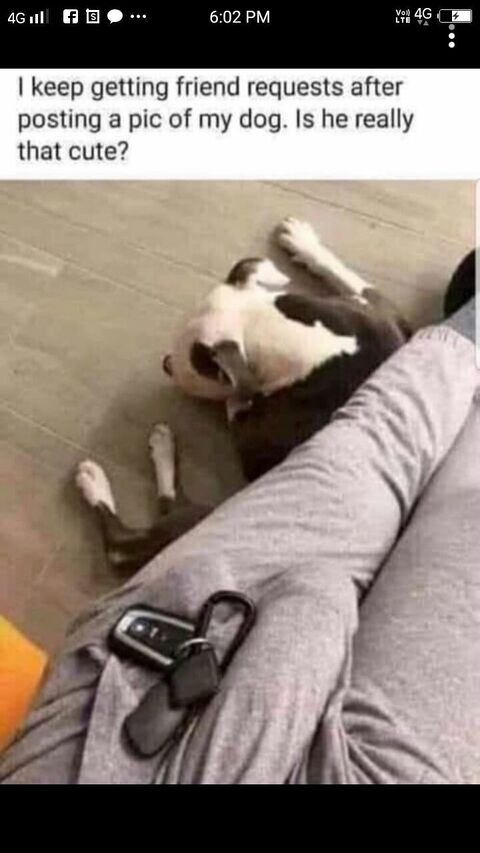 Image d'en-tête OnlyFans bandagumnami