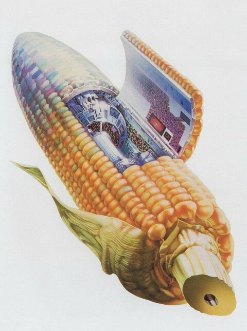 OnlyFans हेडर तस्वीर banjo_xxl