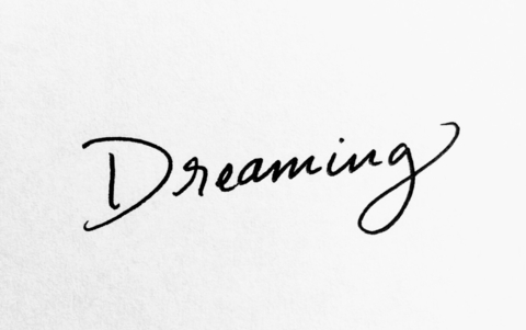 OnlyFans üst resmi baylibri