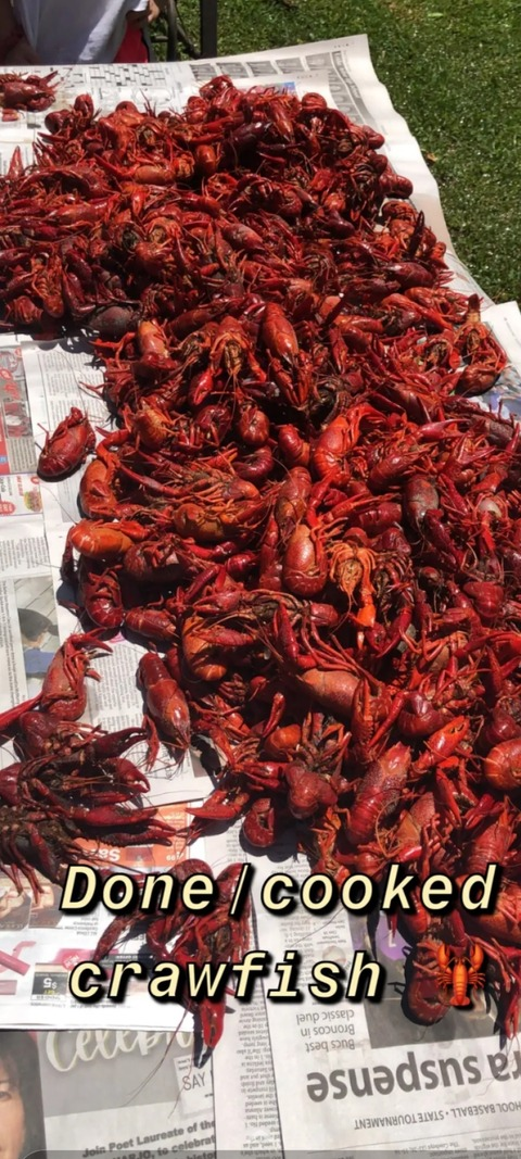 Imagen de encabezado de OnlyFans de bbobbyle20