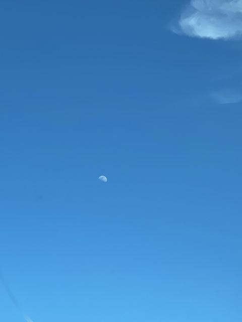 OnlyFans 헤더 사진 bessbreastvip