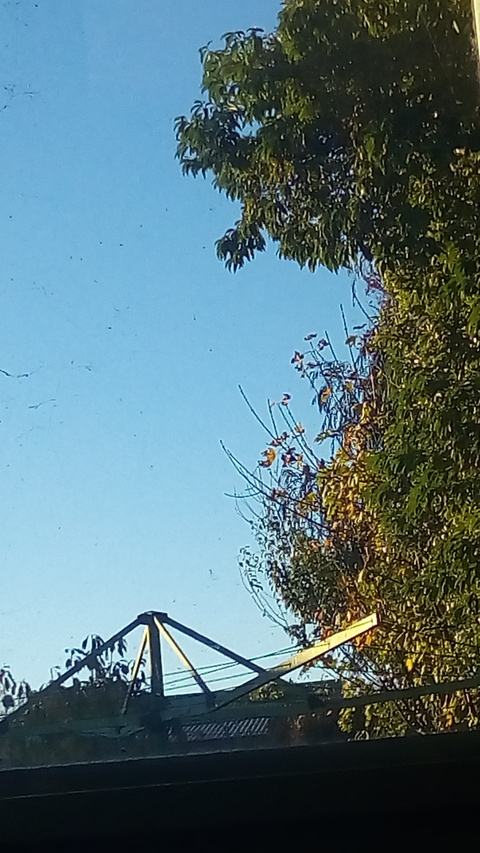 Immagine di copertina OnlyFans big-dick-josh