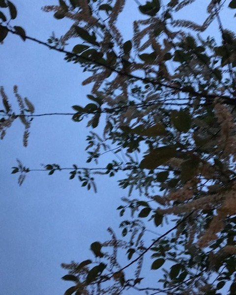 Изображение шапки OnlyFans bigivyfootgoddess