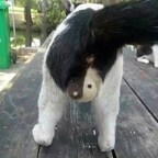 Photo de profil OnlyFans de billbrwnbrwn