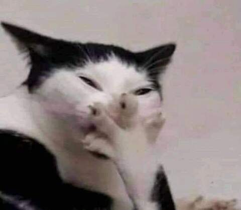 OnlyFans kopafbeelding bisexualgym