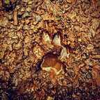 Foto do perfil do OnlyFans bitingthedust3