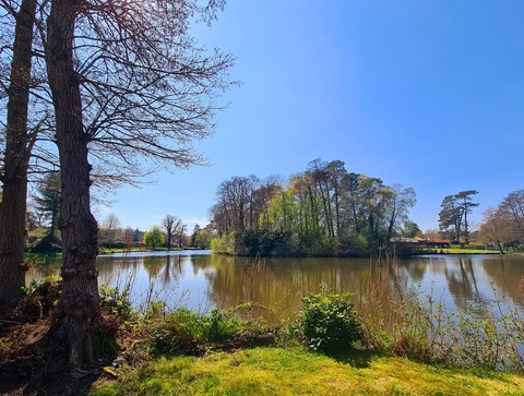 OnlyFansヘッダー写真 bitingthedust3