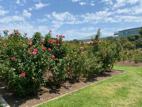 OnlyFans हेडर तस्वीर blakeblossomxxx