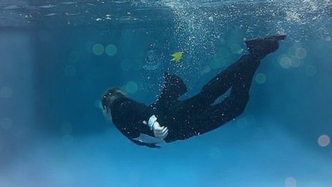 OnlyFans हेडर तस्वीर blaketaylor615