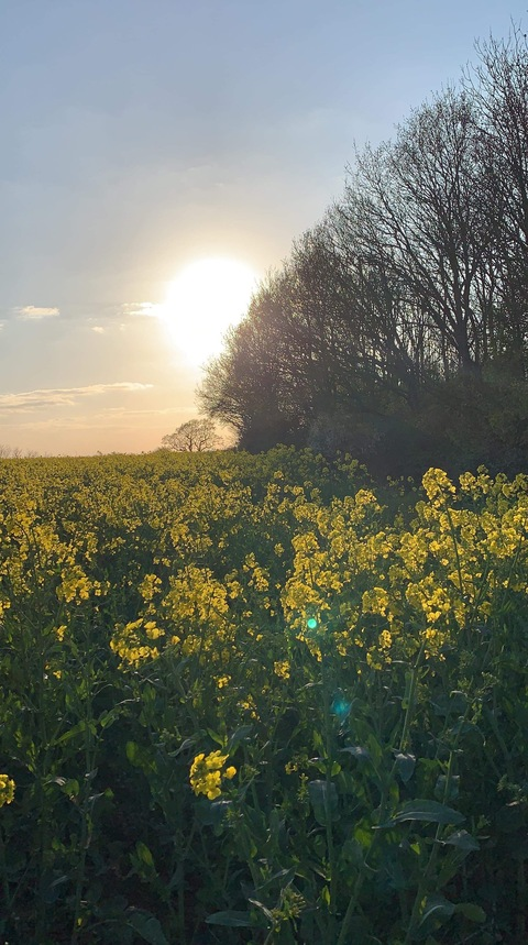 Image d'en-tête OnlyFans bobstar247