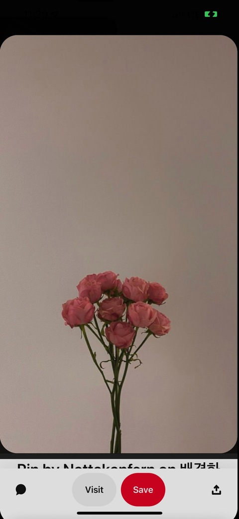 OnlyFansヘッダー写真 boricua0022