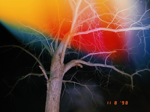 OnlyFans हेडर तस्वीर breacadh.an.lae.fiain